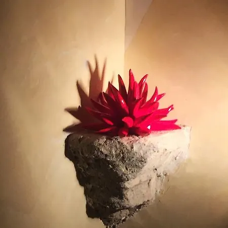 圣骑士之家度假屋 *