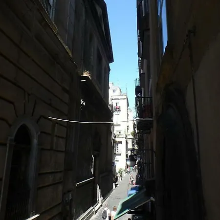 Paladin בית נופש *